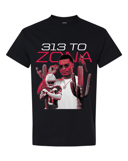 313 to Zona Tee